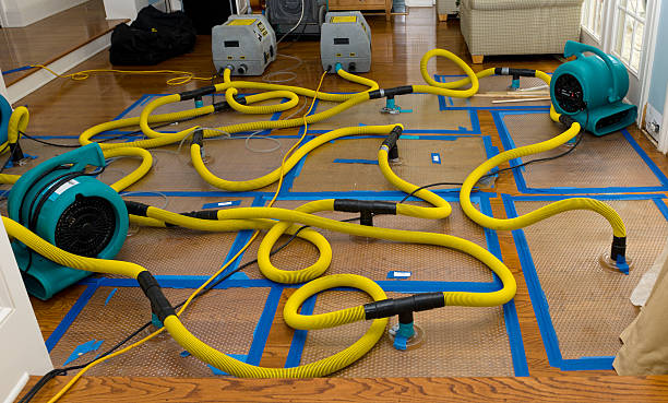 Professional Water Damage Restoration technician working in Alexandria, IN